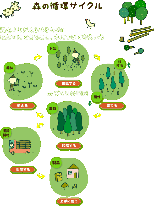 森の循環サイクル