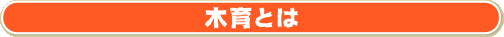 木育とは