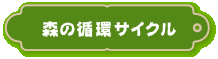 森の循環サイクル